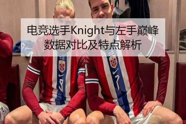 电竞选手Knight与左手巅峰数据对比及特点解析